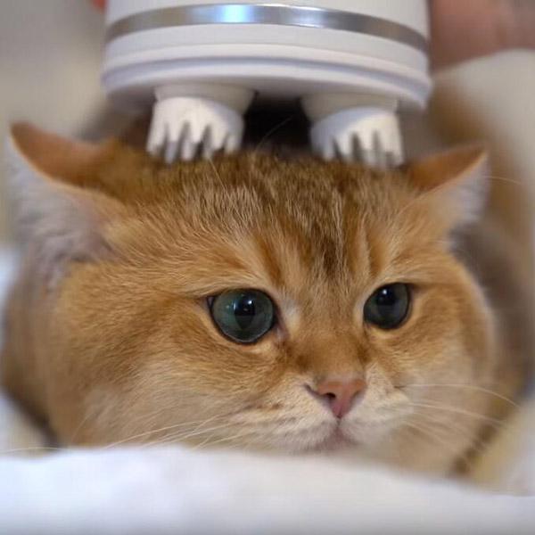 Head massager