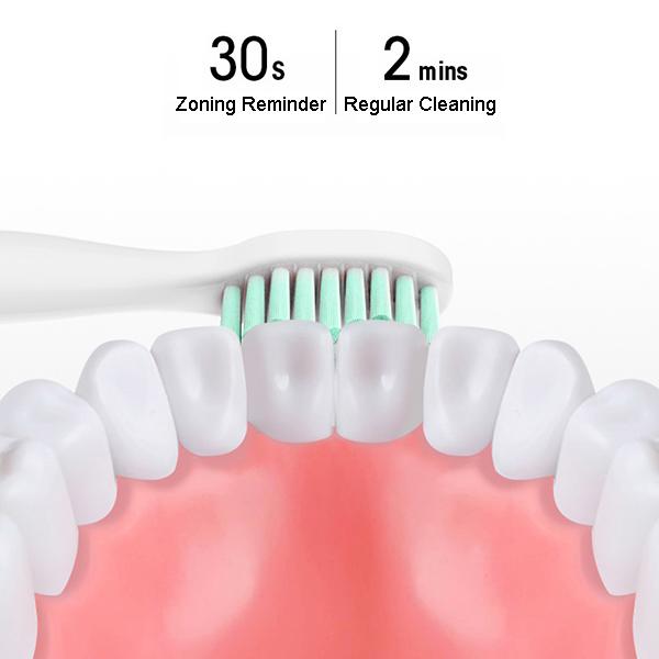 Rechargeable Waterproofing Electric Toothbrush