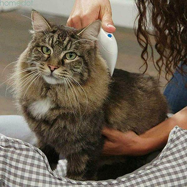 Flea Doctor Pet Electric Louse Remover