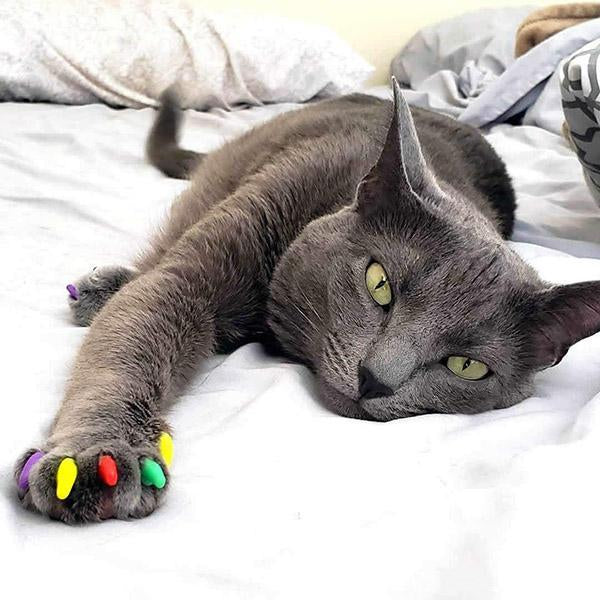 Cat Nail Caps(20 pcs)