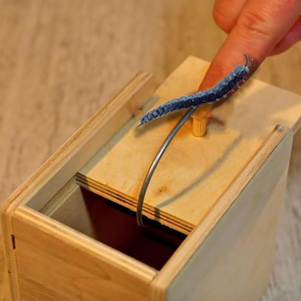 Startled Wooden Box