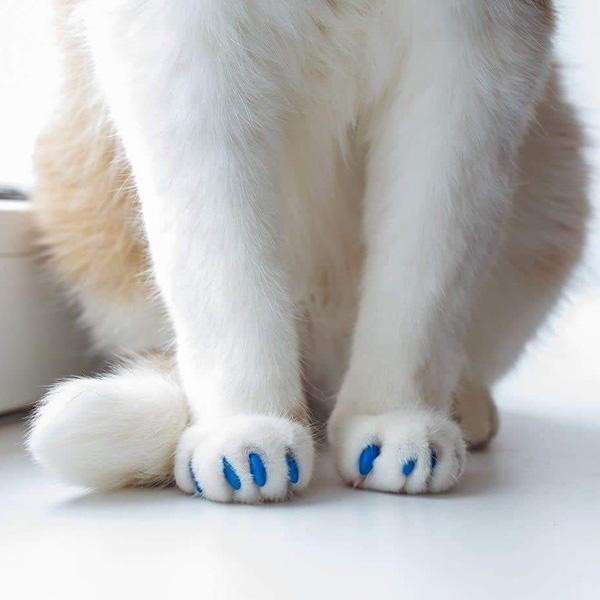 Cat Nail Caps(20 pcs)