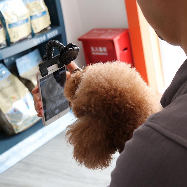 Pet Camera