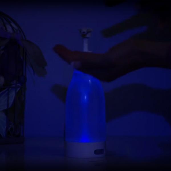 LED Lighted Soap Dispenser