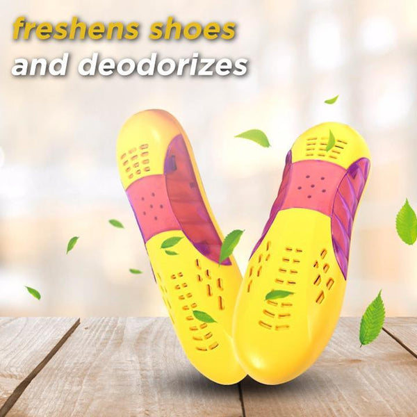 Electric Shoe Dryer