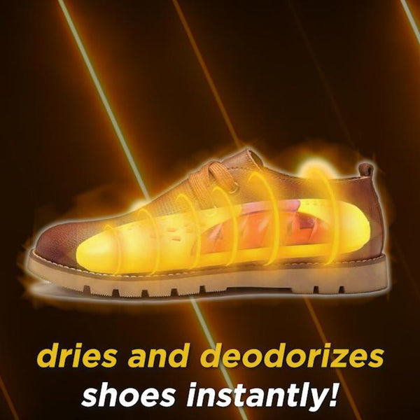 Electric Shoe Dryer