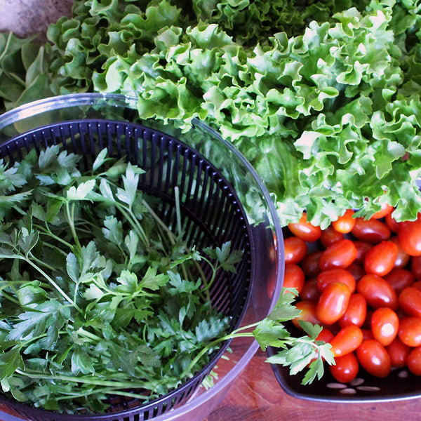 Vegetables Dryer Washer Sieve Strainer Colander Basket