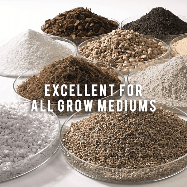 Rapid Rooting Powder (4 PACKS)