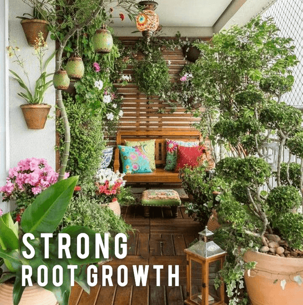 Rapid Rooting Powder (4 PACKS)
